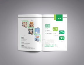 彩瑞数码科技 产品画册策划与数字广告设计的创新融合